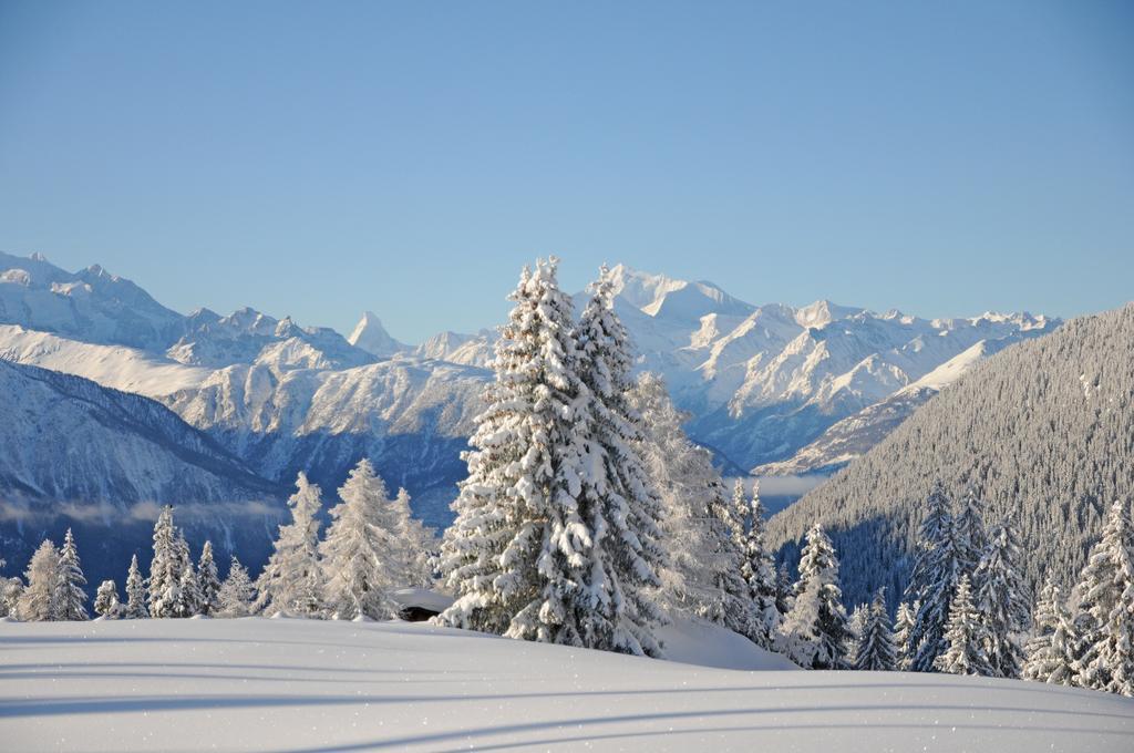 Villa Favorite Parterre à Riederalp Chambre photo